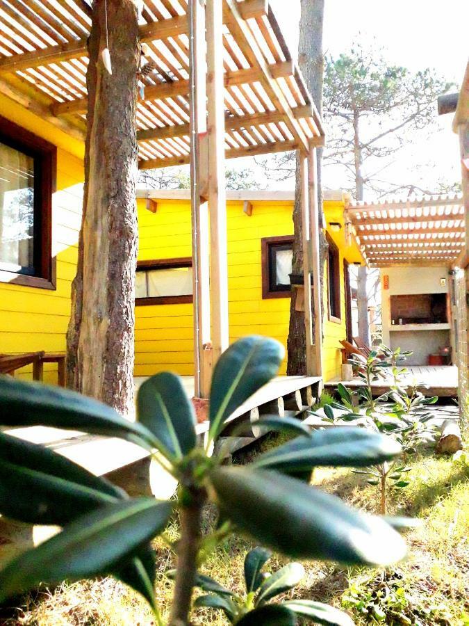Diabro'S Villa Punta Del Diablo Eksteriør billede